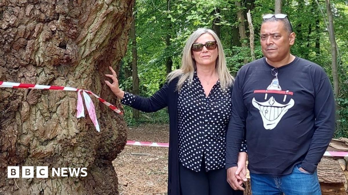 Anger Mounts Over Tree Felling At Enfield Toby Carvery: Locals Demand Answers Anger Mounts Over Tree Felling At Enfield Toby Carvery: Locals Demand Answers